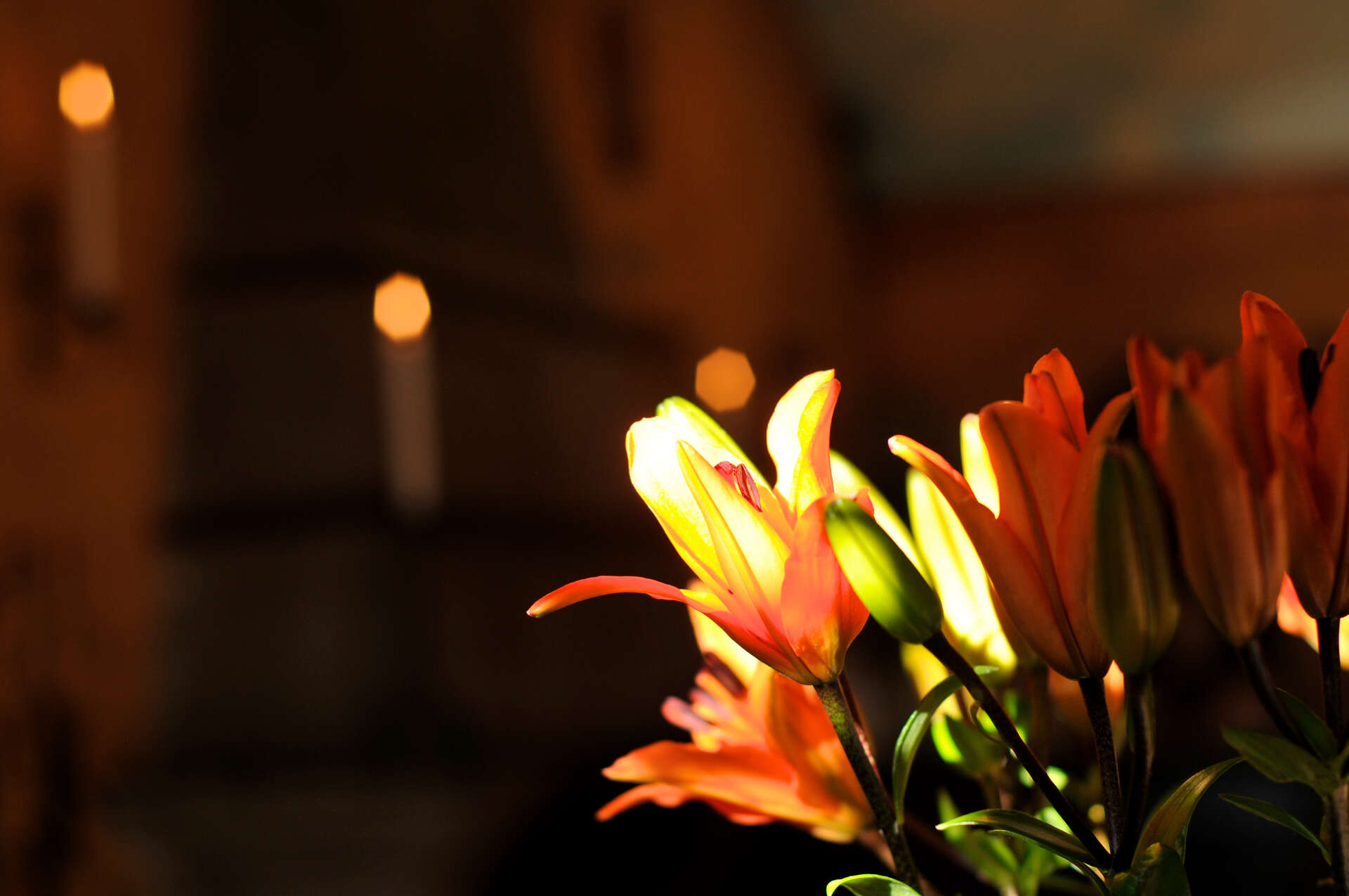 Wedding Banner